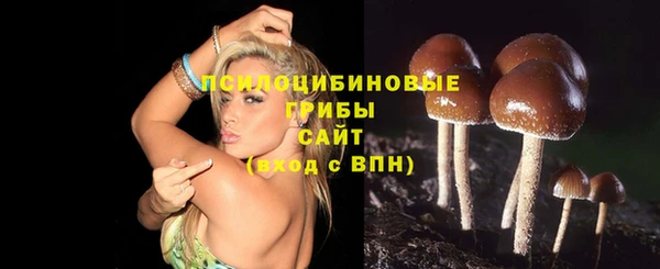 тгк Сосновоборск