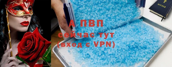 шишки Сосновка