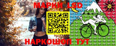 СК Абакан
