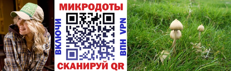 магазин Вязники кракен tor Псилоцибиновые грибы Magic Shrooms